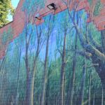 Bloemencorso Sint Gillis Dendermonde 2025